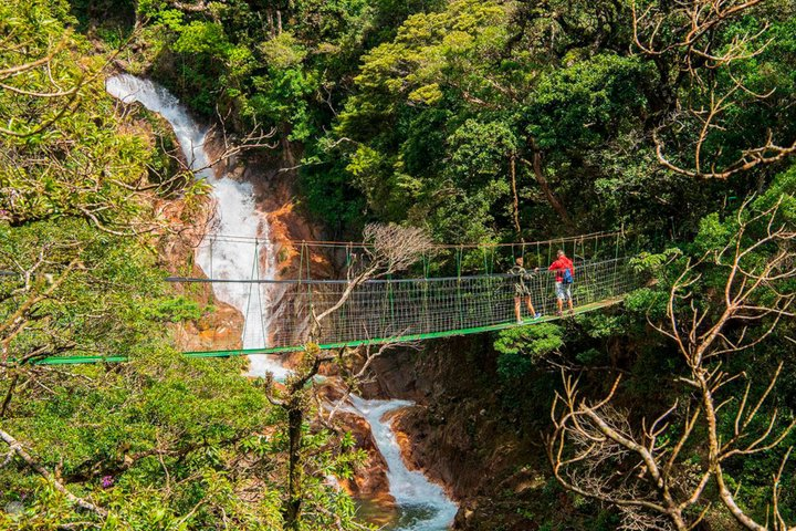 5 in 1 sloth, Rainforest, waterfalls, hanging bridges, volcanic activity tour. - Photo 1 of 25